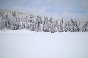 While snowshoeing through the snow-covered mountains of Utah, we were presented with beautiful scenery in every direction. This shot is of a frozen lake with three to four feet of snow atop it and thousands of beautiful evergreens bearing the heavy weight of the snow in the background. I love the blue skies that tied it all together.