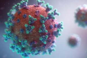 New visualisation of the Covid-19 virus